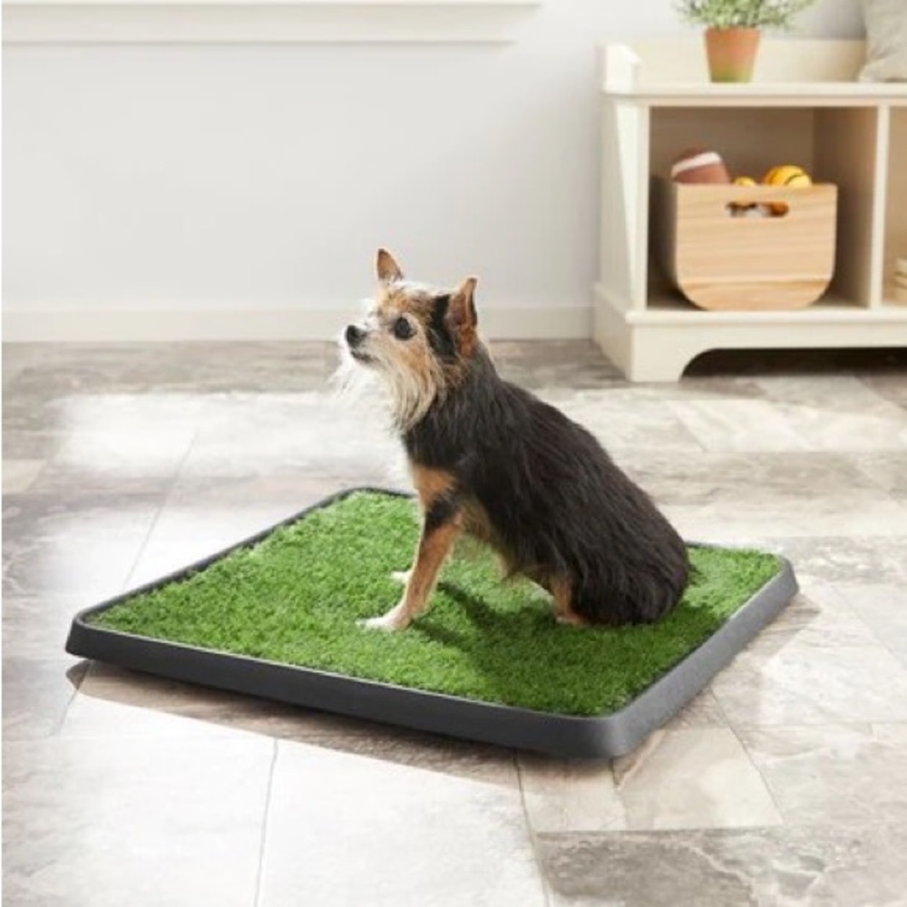 Dog Potty Grass Indoor/Outdoor Artificial Grass Patch 20 width x 16L reusable